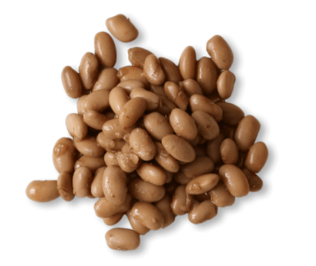 Small pile of pinto beans