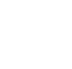 A hand drawn icon of a chicken.